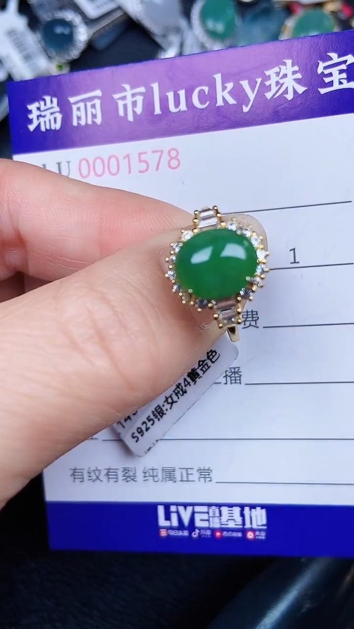 颈饰银S925镶嵌翡翠1578