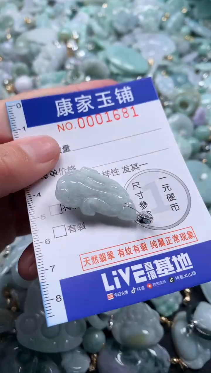 颈饰未镶嵌翡翠1681