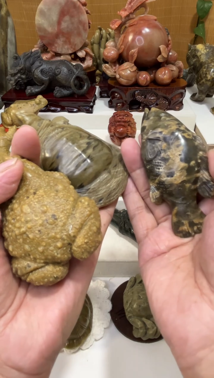 玉阿****号甲鱼，金蟾，鱼