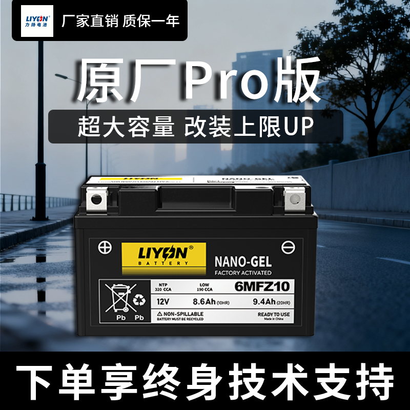 力扬摩托车启动电池新黑标系列【5-10AH】 适配99%车型原厂升级