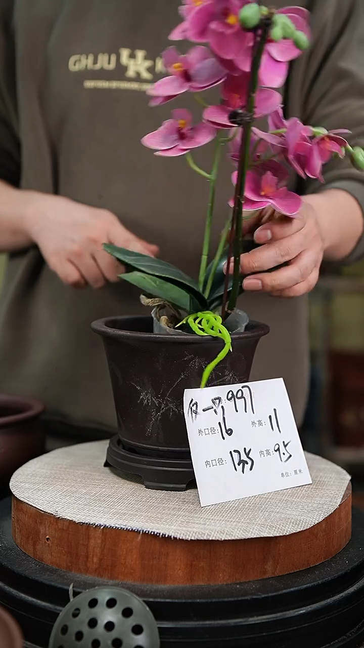 【闪购商品】紫砂花盆紫砂花盆997+s