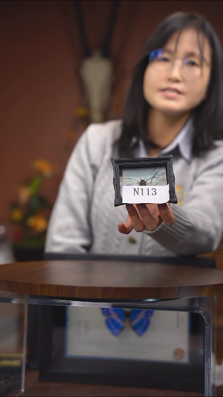 N113     冰箱贴 