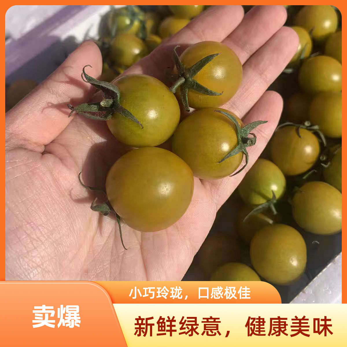 山东寿光【唐伯虎】伯虎小柿子新鲜应季现摘现发礼盒装2.5斤新鲜水果山东省