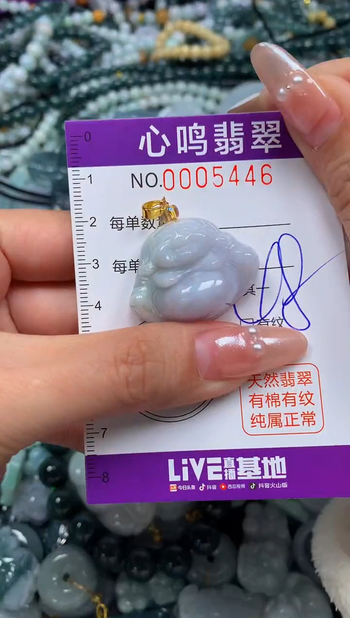 颈饰未镶嵌翡翠闪购005446