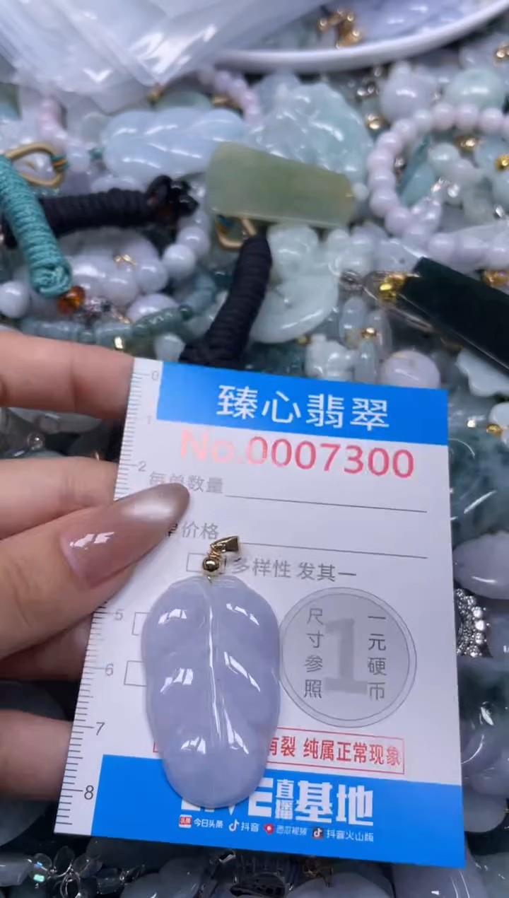 颈饰未镶嵌翡翠7300