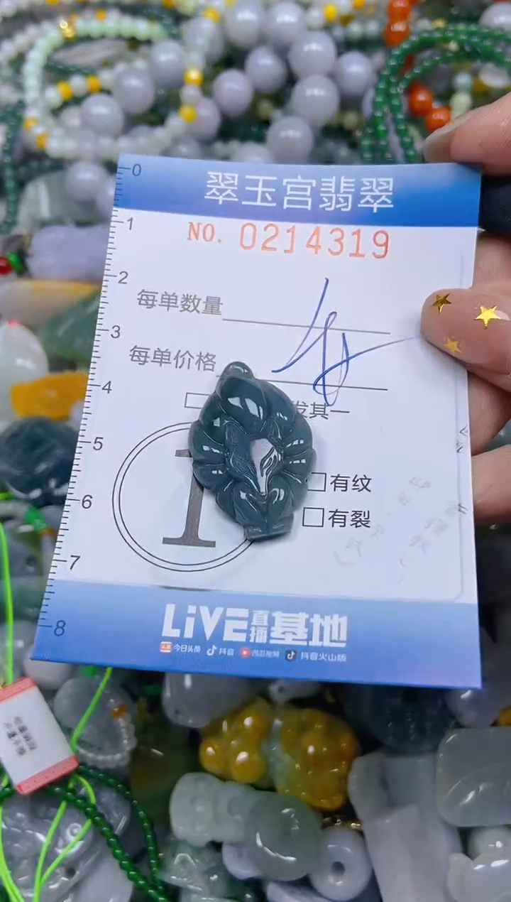 颈饰未镶嵌翡翠闪购C0214319