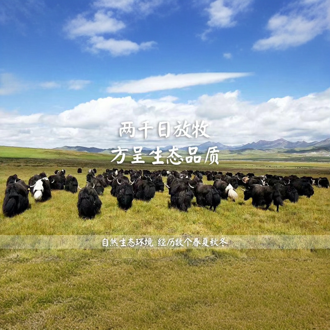 【天之牧优选】一物一拍精排骨2斤吊龙2斤