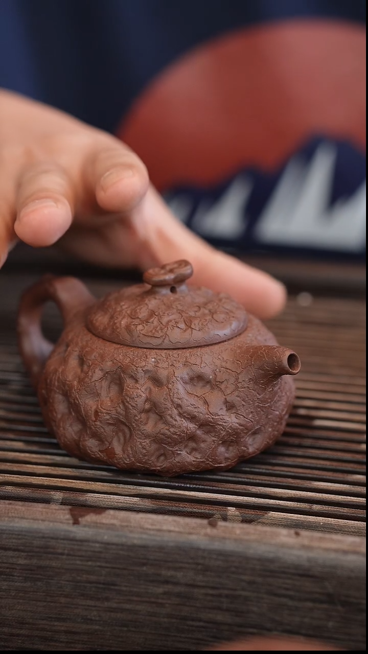 茶壶紫砂供春 变色龙 170cc