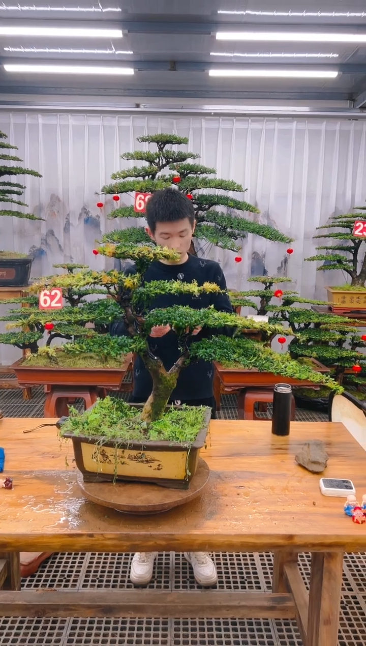 【闪购商品】紫砂精品盆景直播间一物一拍