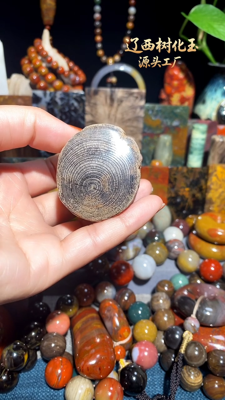 未镶嵌-硅化玉天然北票硅化玉原石