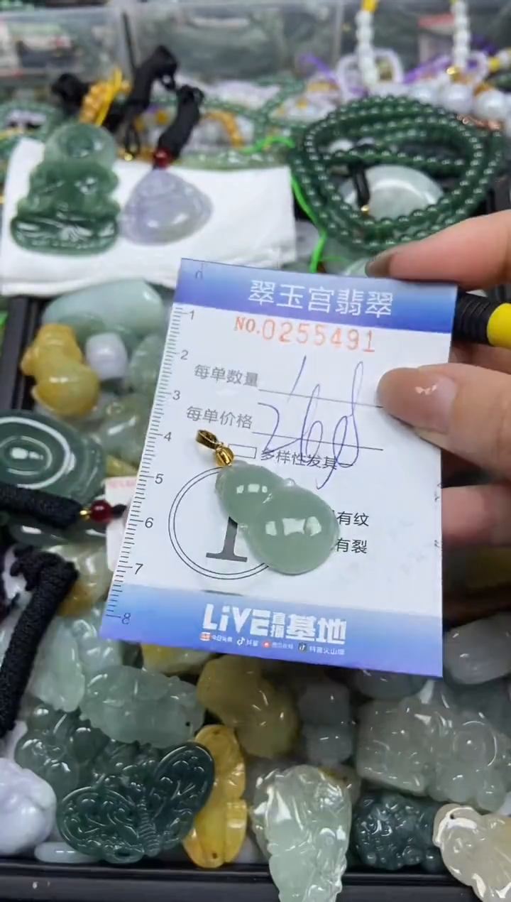 颈饰未镶嵌翡翠闪购C0255491