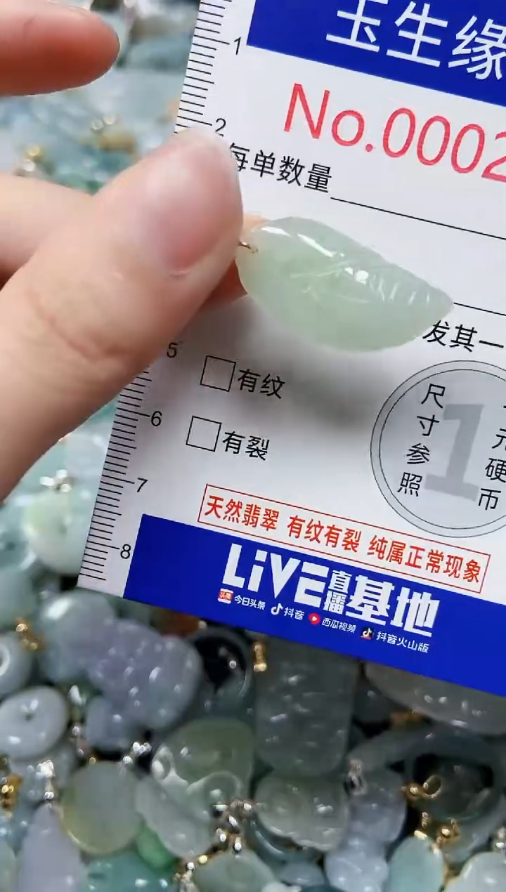 【闪购商品】翡翠颈饰未镶嵌闪购00002183