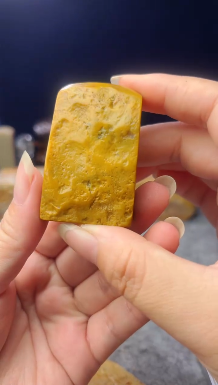 昌化石龙**池昌化料子一个