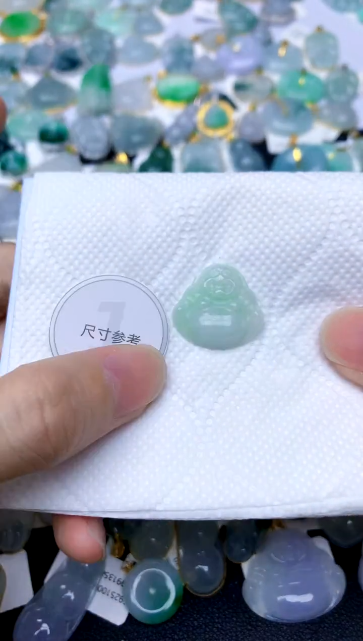 颈饰未镶嵌翡翠天然A货翡翠