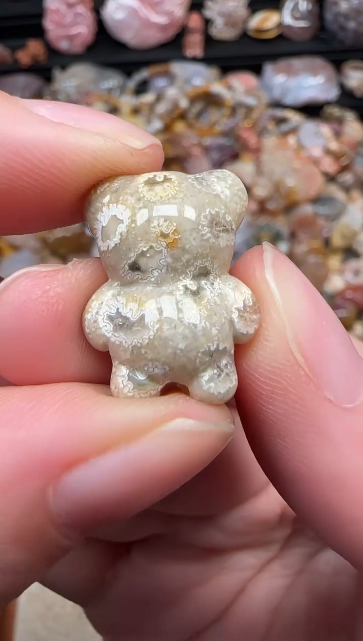 颈饰未镶嵌硅化珊瑚（珊瑚玉）089