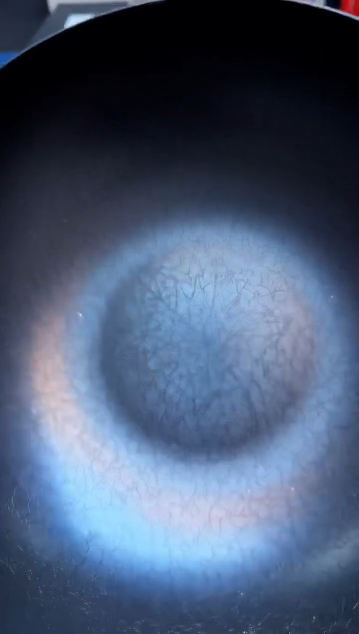 瓷片全新正品一件不留@@WE512