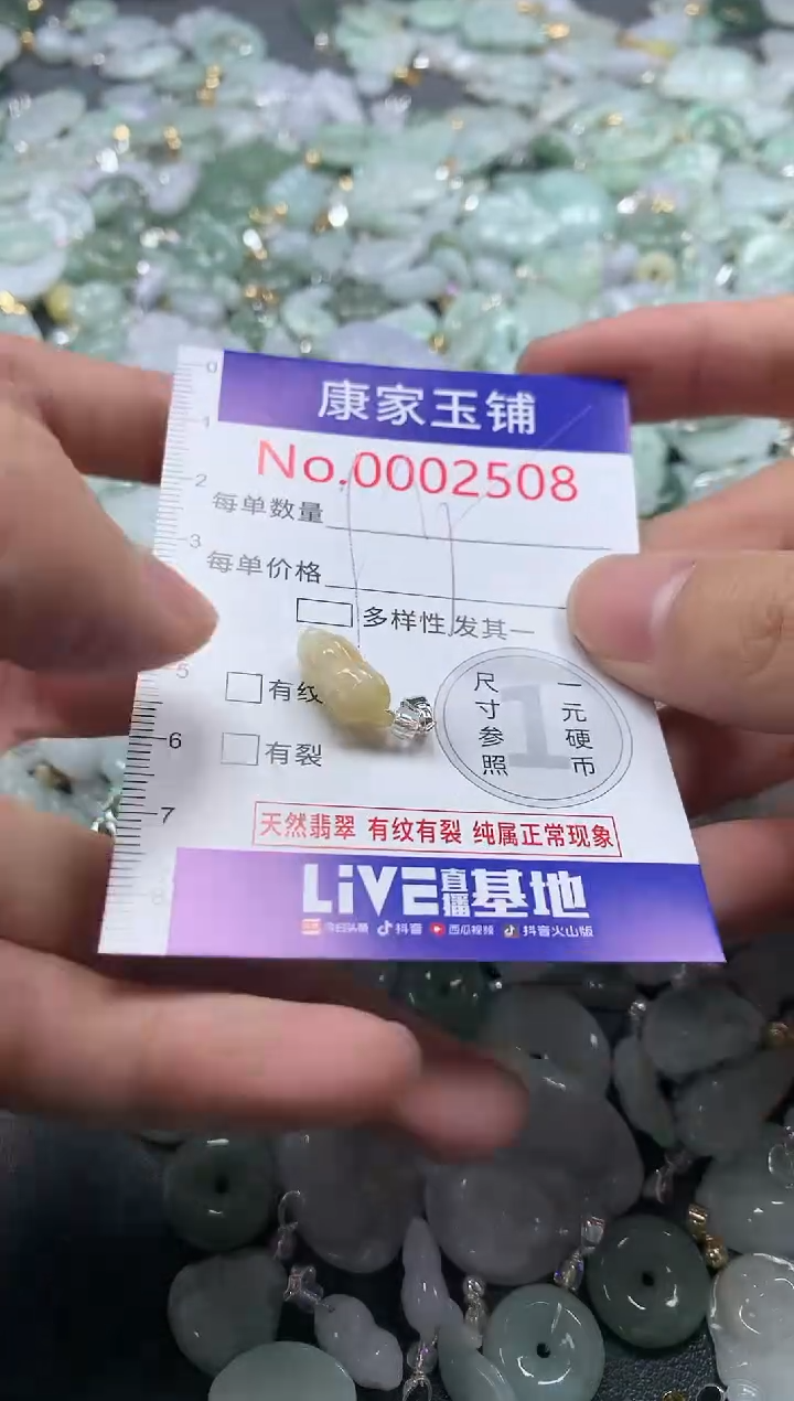 颈饰未镶嵌翡翠2508