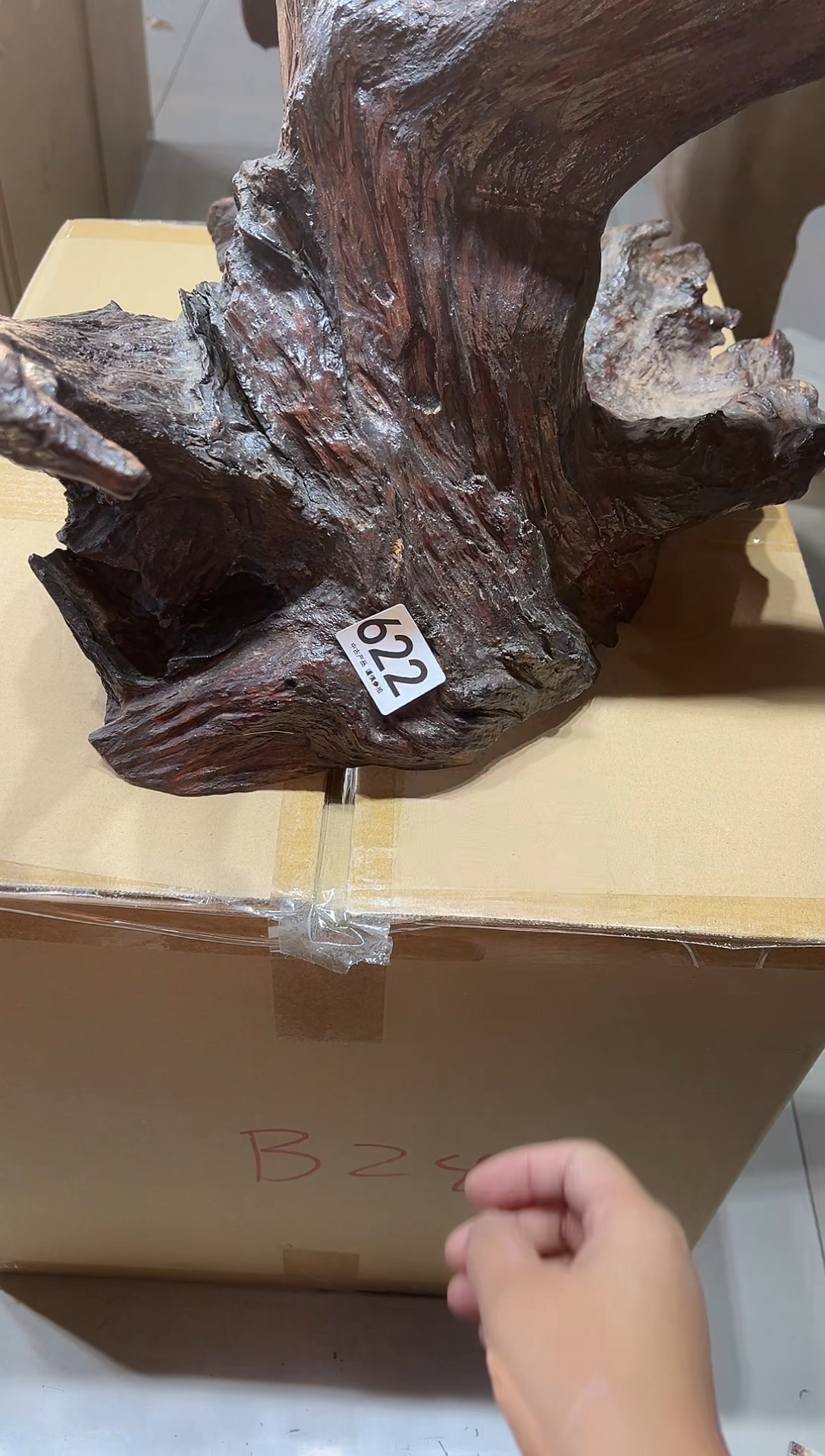 一****光622茶摆件           