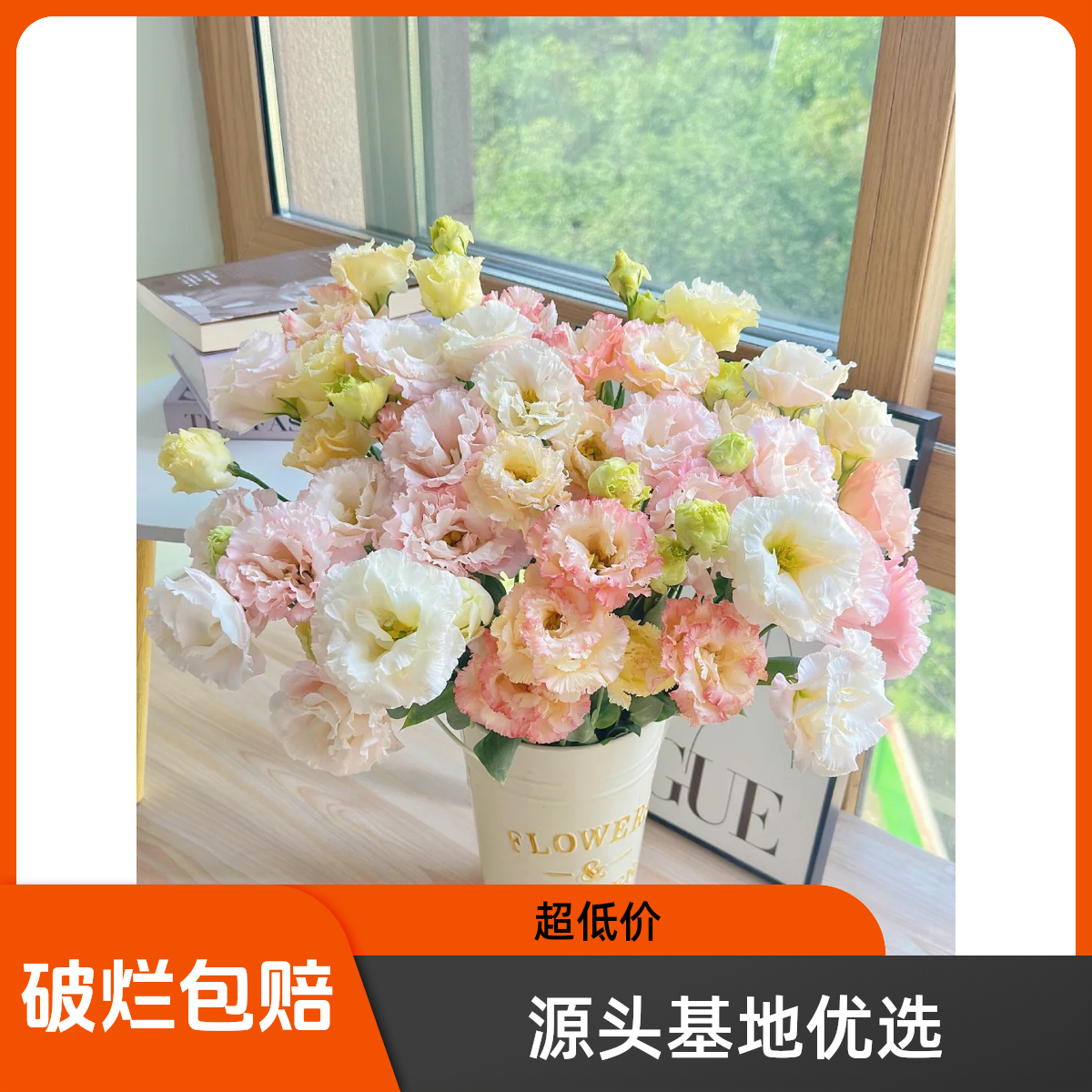 南沐雯·【白色+香槟+绿色】鲜花由斗南基地云南昆明基地直发包邮