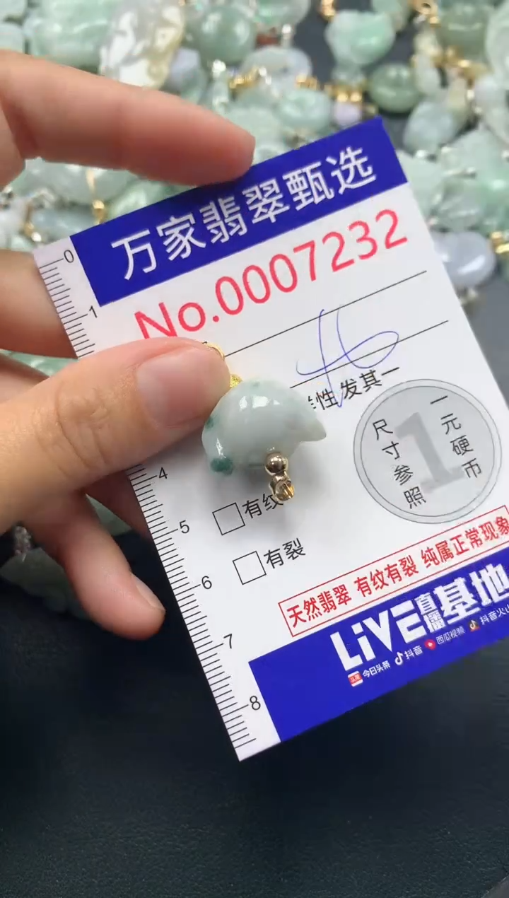 吊坠(不含链)未镶嵌翡翠7232