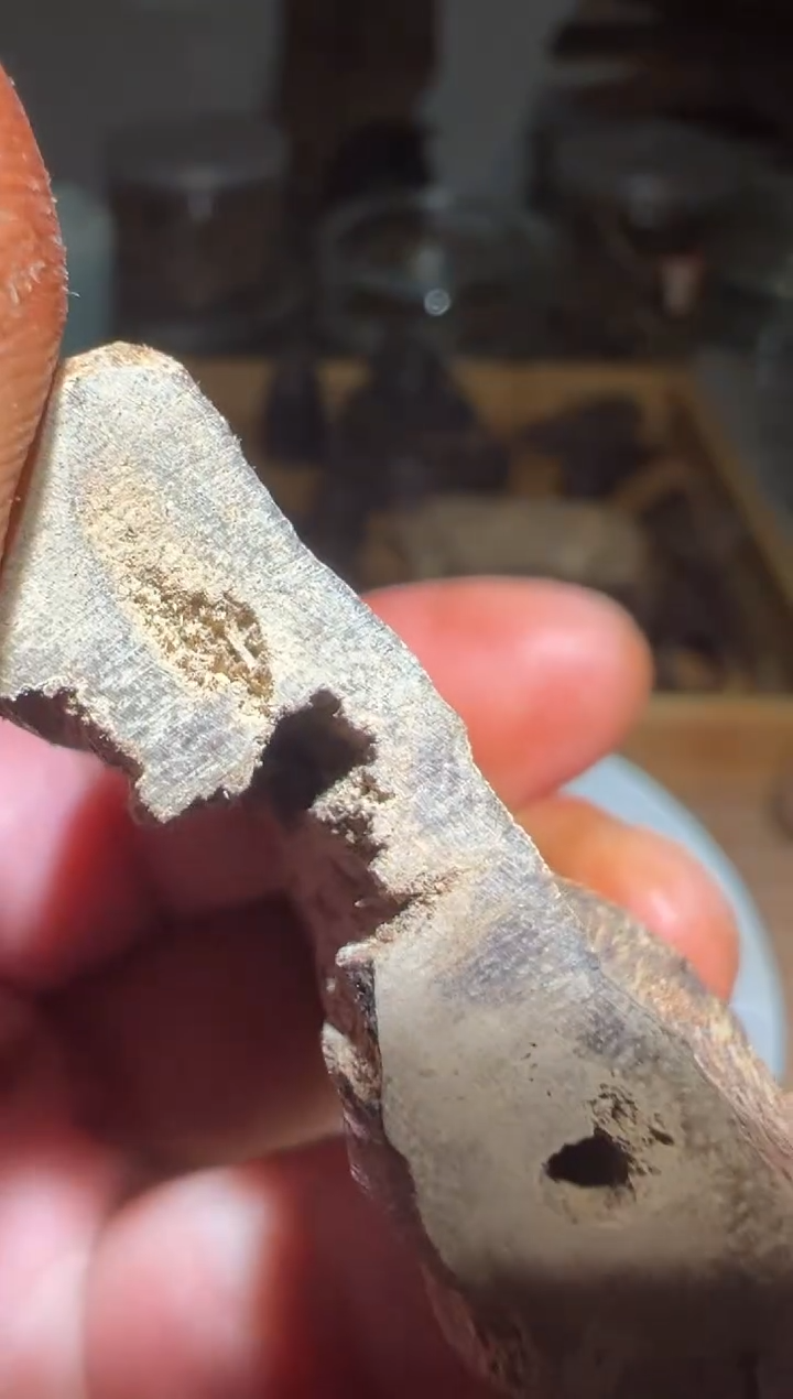 【闪购商品】沉香沉香碎屑马莱8克