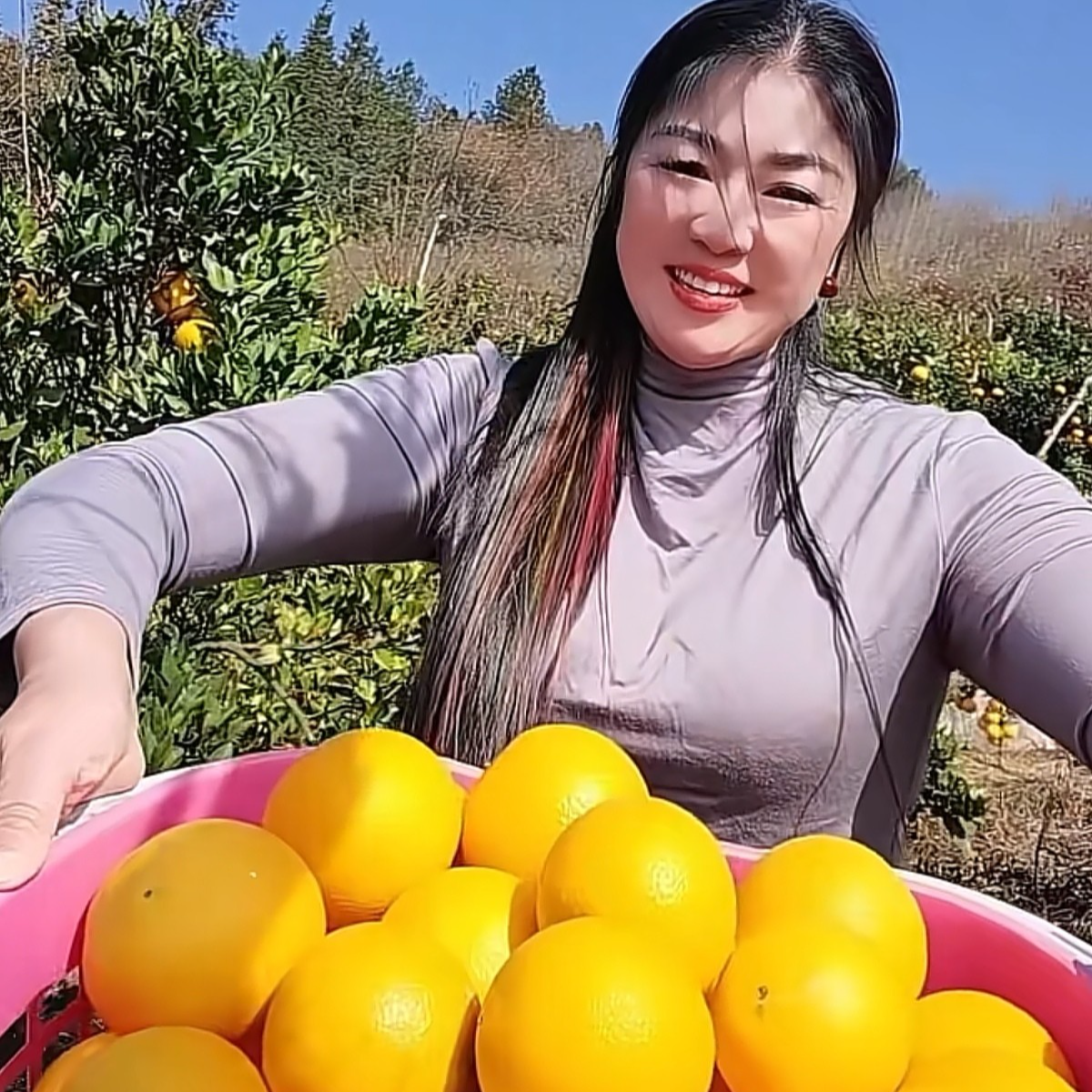 湖北宣恩九月红爆汁橙应季水果新鲜脐橙果王净重9斤