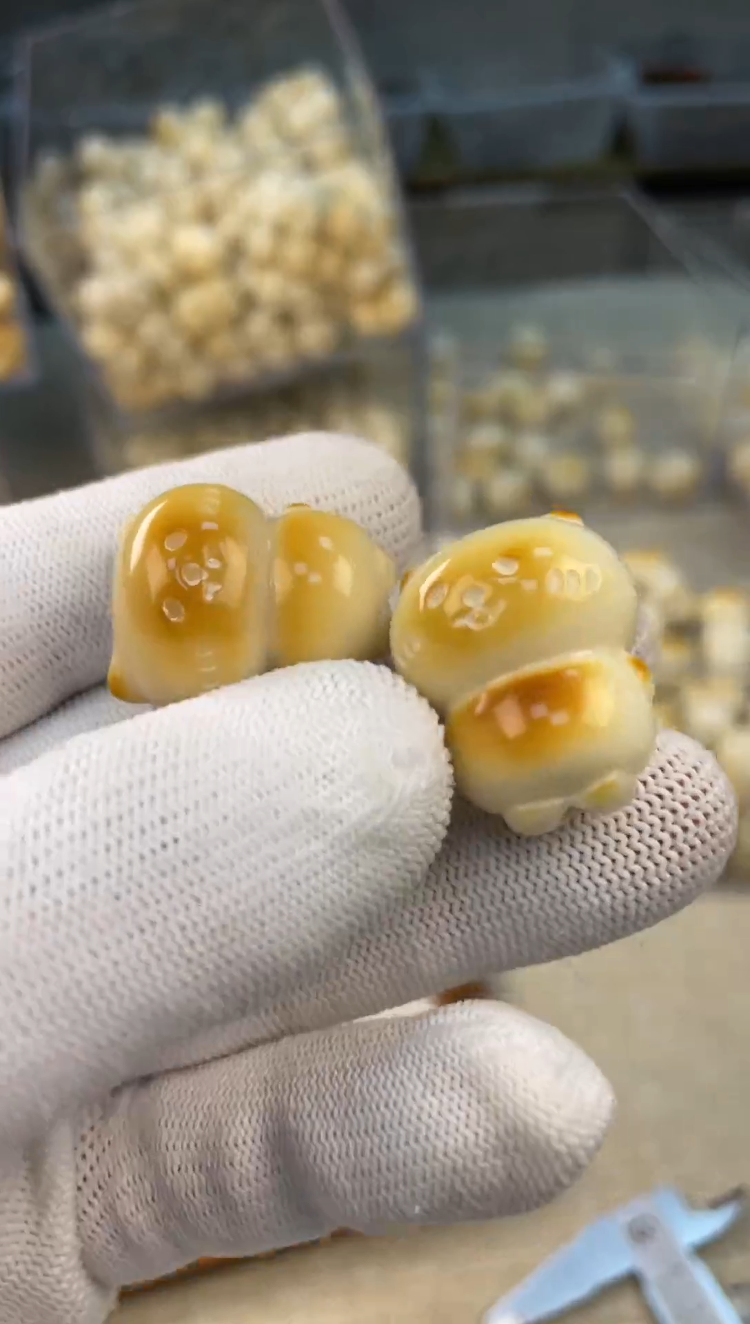 把件菩提根/象牙果54