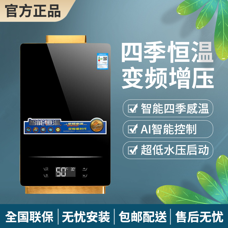 路易好太太电家用天然气煤气液化气强排式防冻恒温新款热水器