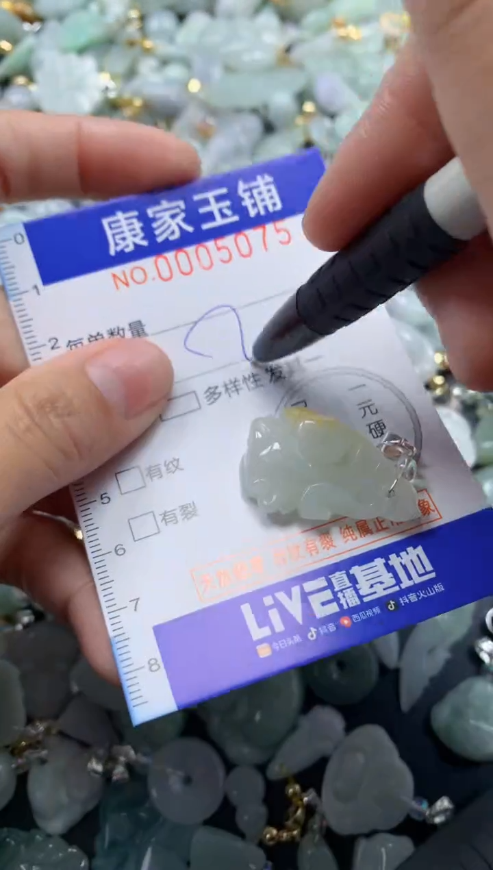 颈饰未镶嵌翡翠5075