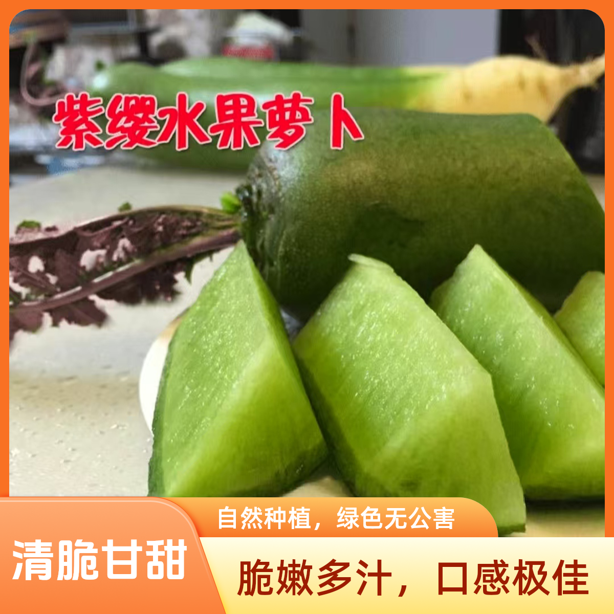 清脆 甘甜 微辣 水嫩 多汁 紫樱水果萝卜山东青萝卜