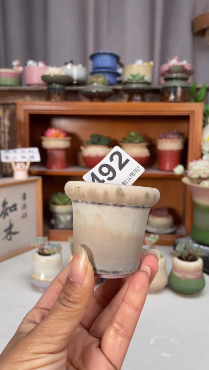 瓷片490小芳直播编号