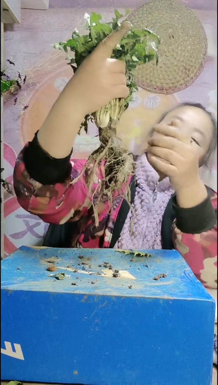 少量花朵（建议范围：2朵-5朵 或40%以下）S****.蒲公英