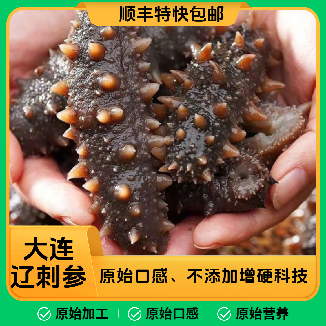 【元旦狂欢】大连源头工厂即食海参王4-6头/500g*1斤鲜蒸即食海参