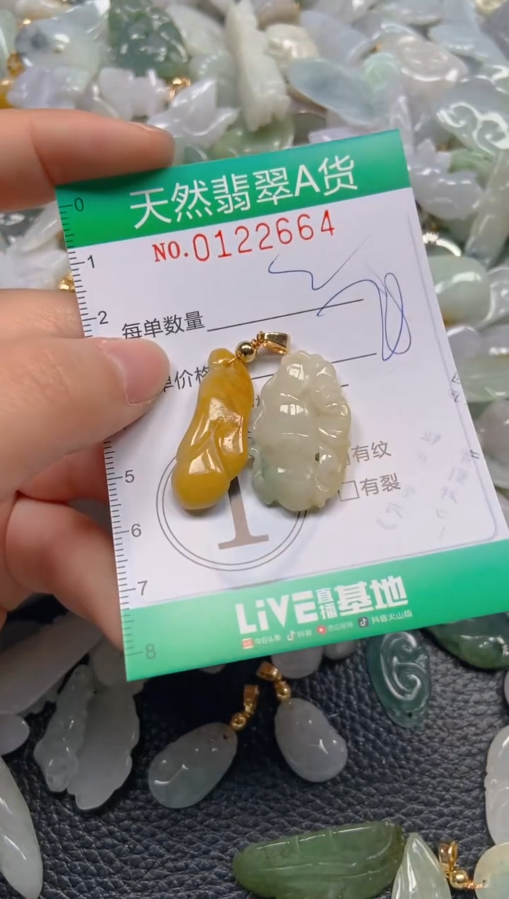 翡翠未镶嵌颈饰闪购0122664