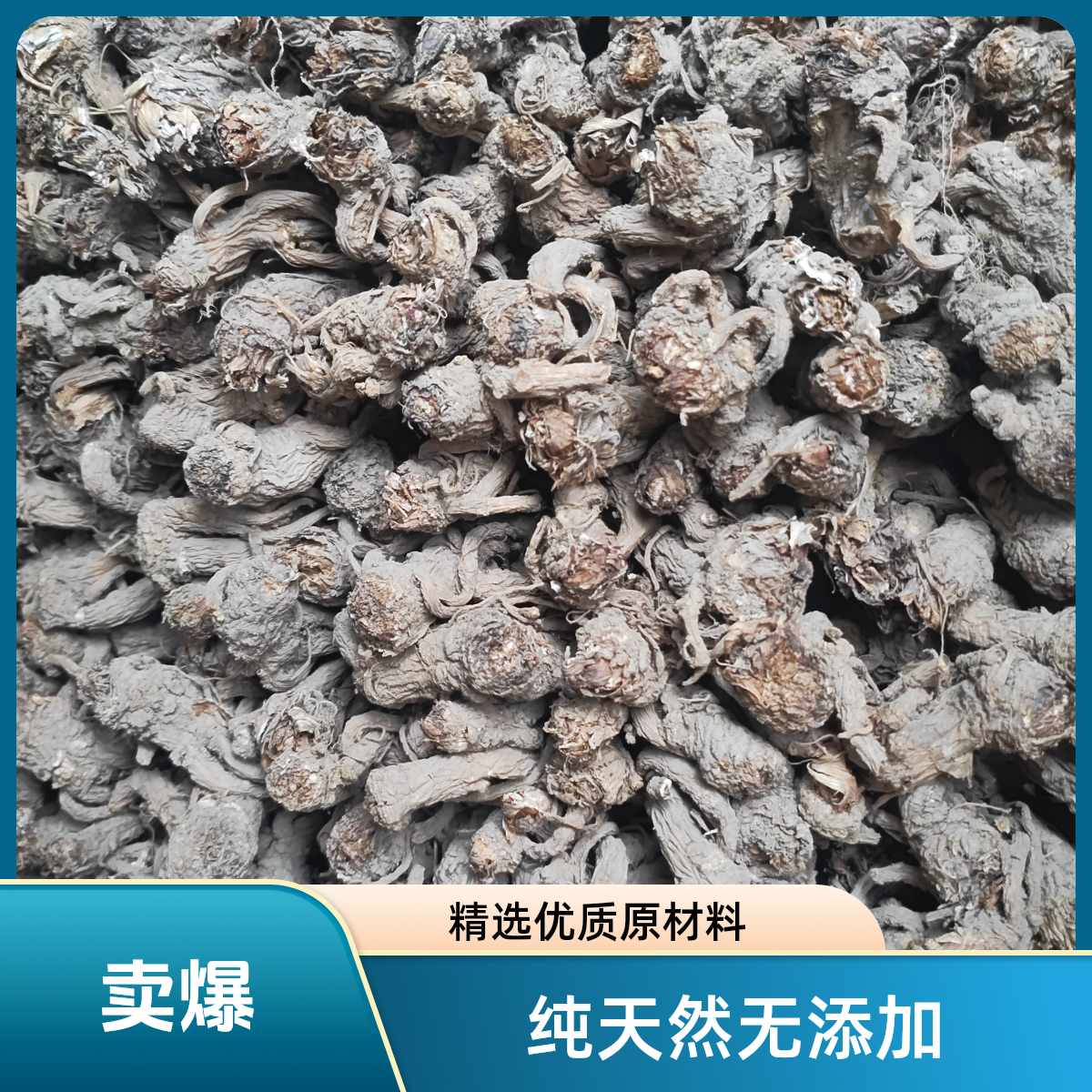 甘肃正宗当归小货