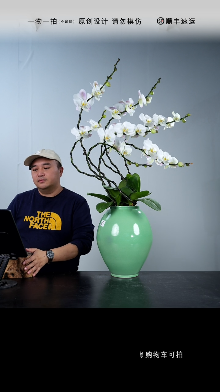 【闪购商品】005号链接【一物一拍】艺术盆景