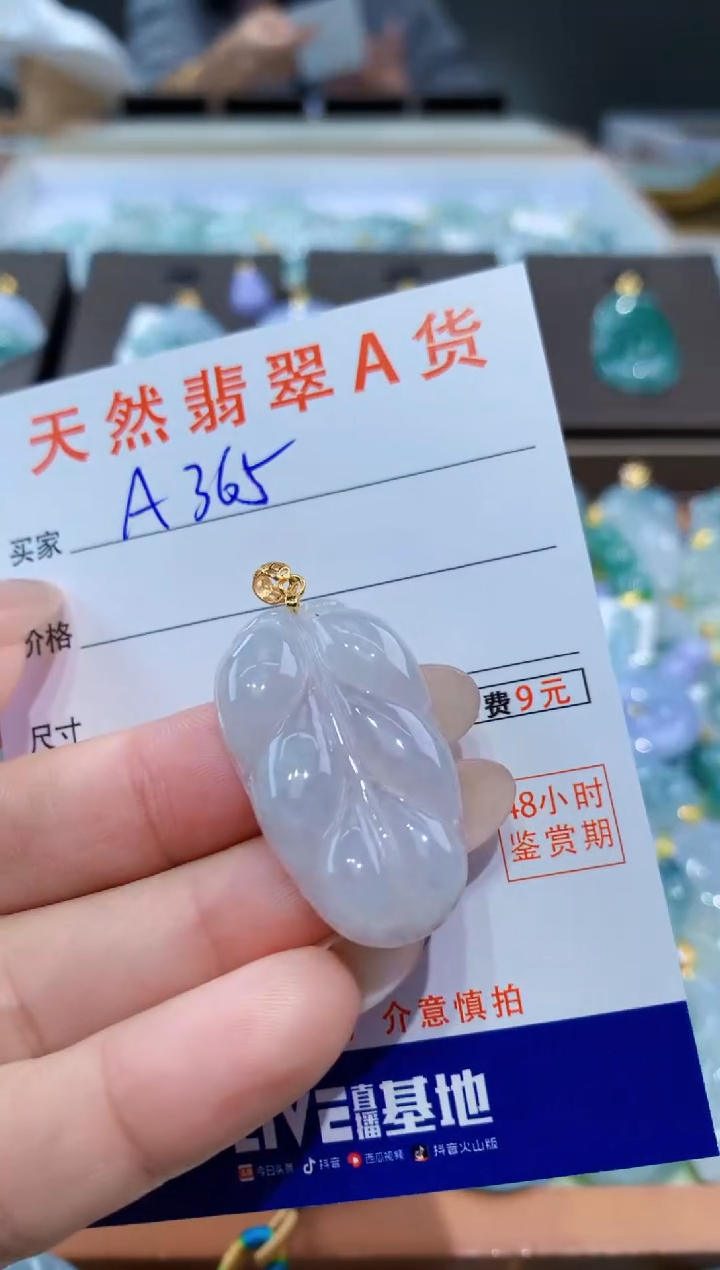 颈饰未镶嵌翡翠天然缅甸翡翠A货挂件 
