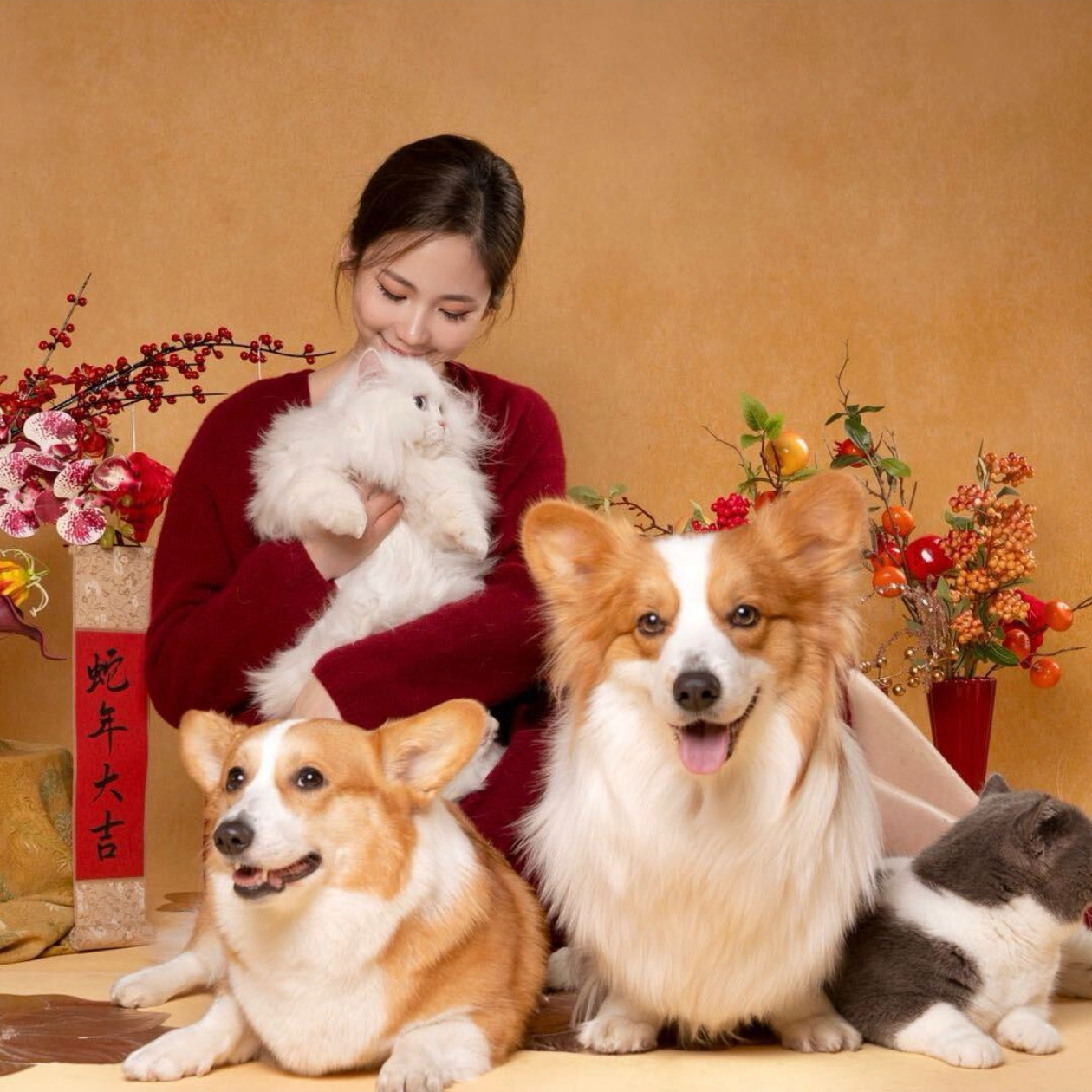 1月3号下午6点 新年红专场上新直播衣服FF20250103