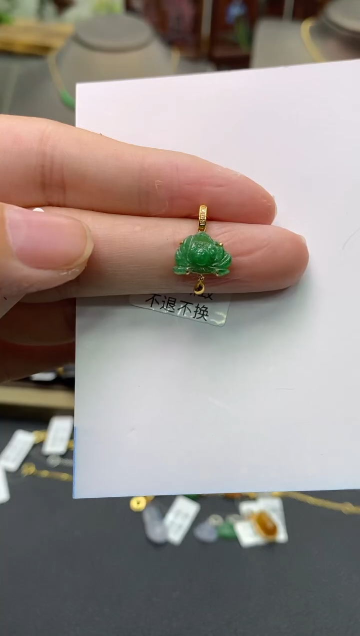 【闪购商品】翡翠颈饰18K金镶嵌净货13950