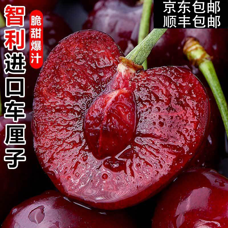 【明日达】智利桑提娜车厘子3J/4J5斤净重新鲜水果现货直发多汁内附果径卡海运桑提娜樱桃智利共和国