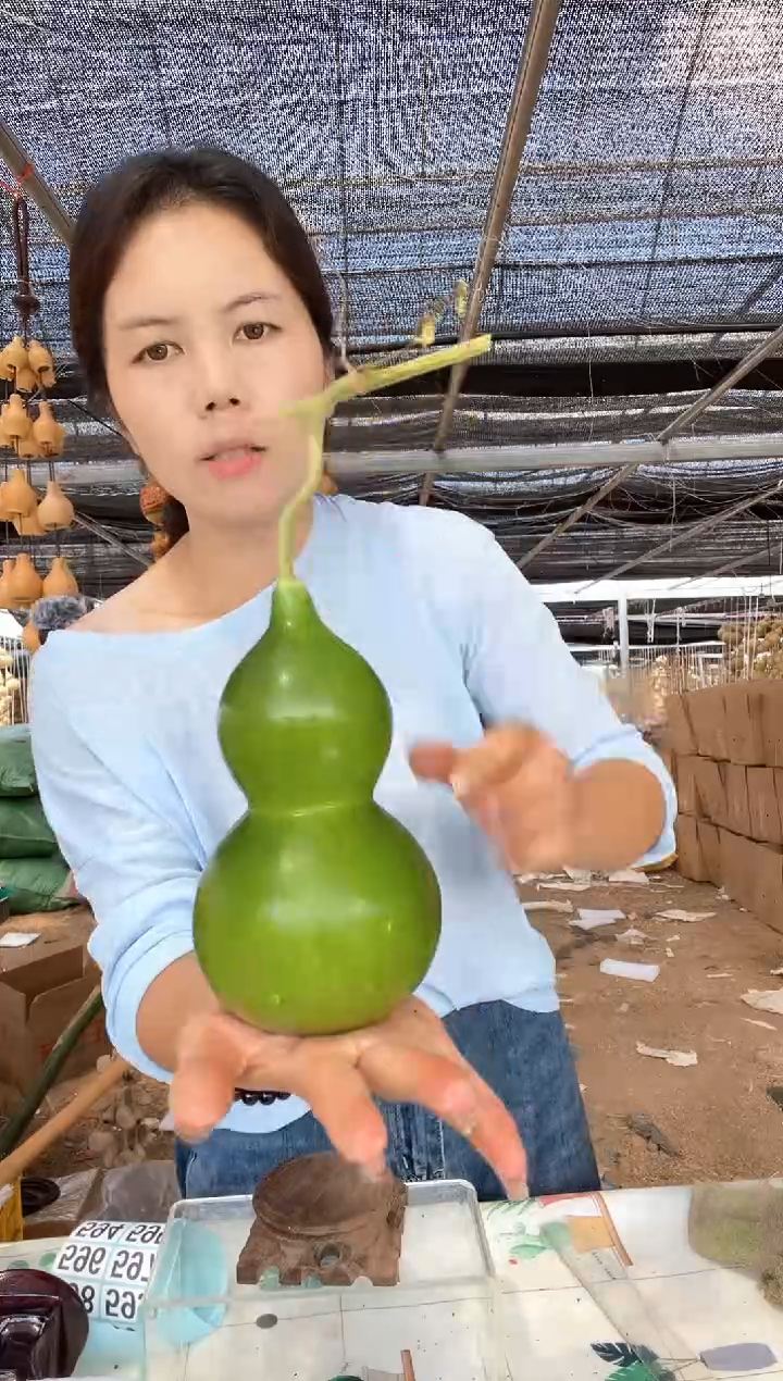 584天然葫芦摆件 一物一拍龙头不保售后