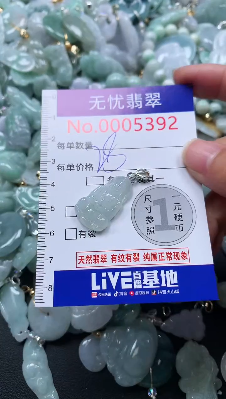 颈饰未镶嵌翡翠5392