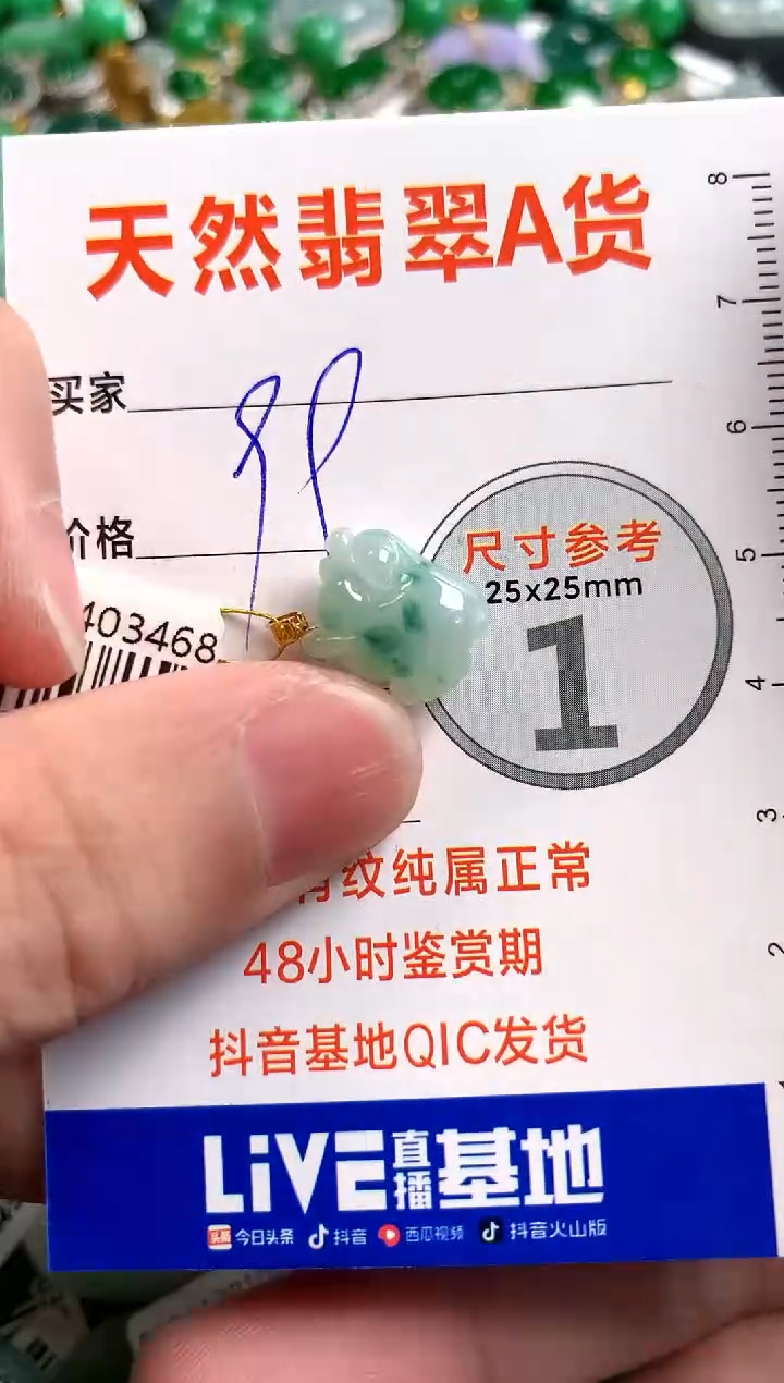 【闪购商品】翡翠颈饰未镶嵌13003044