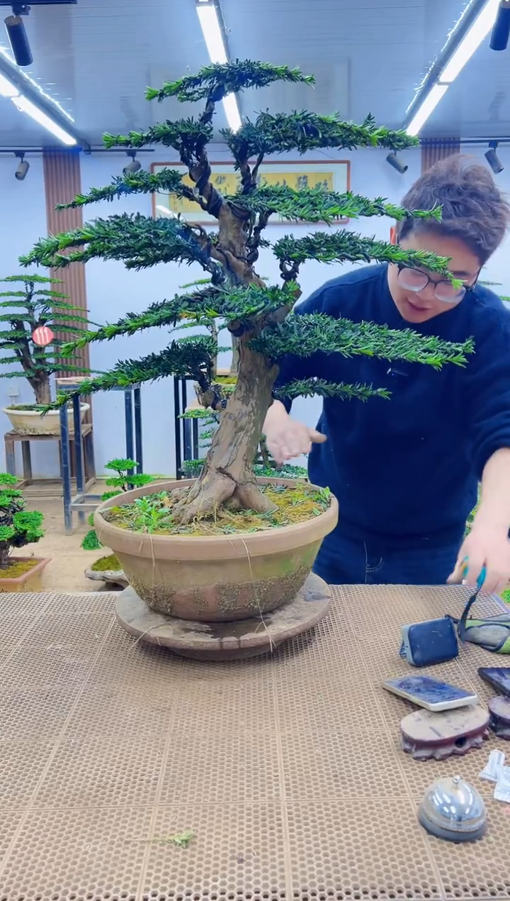 无花朵0000000000000