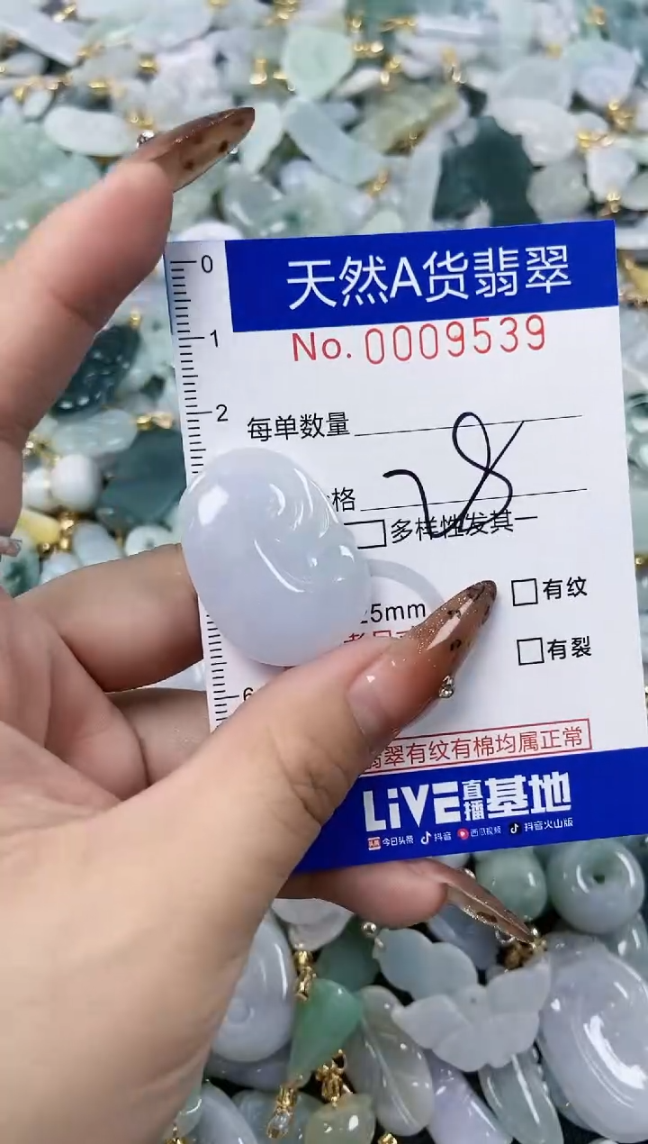 【闪购商品】翡翠颈饰未镶嵌天然A货翡翠