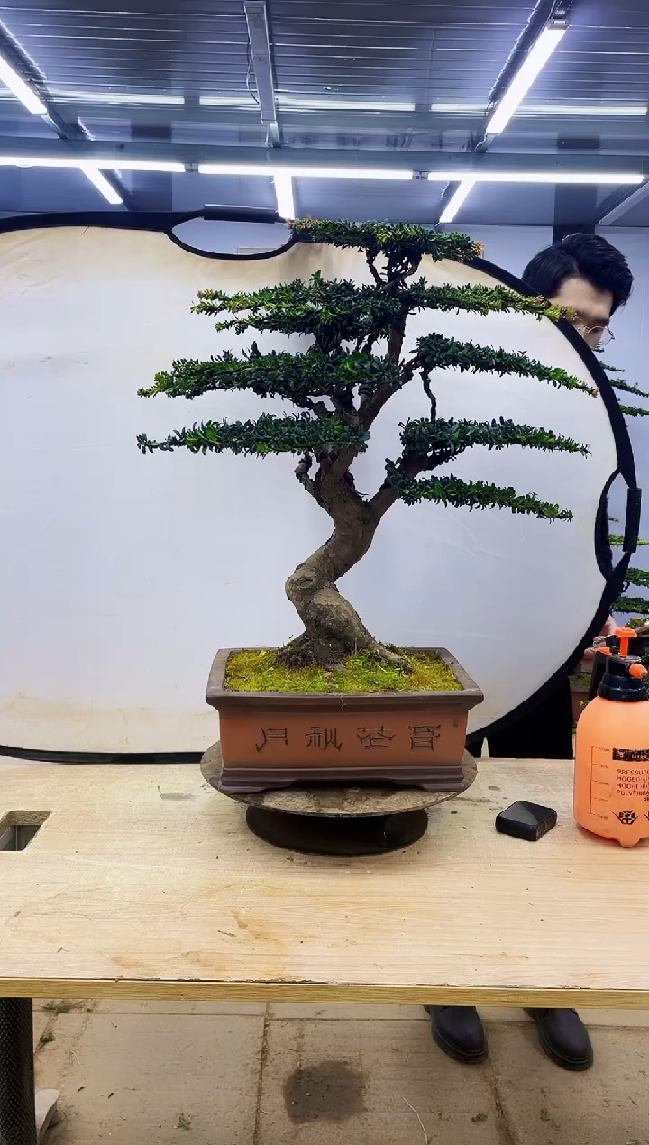 无花朵舟*航00000000000000000