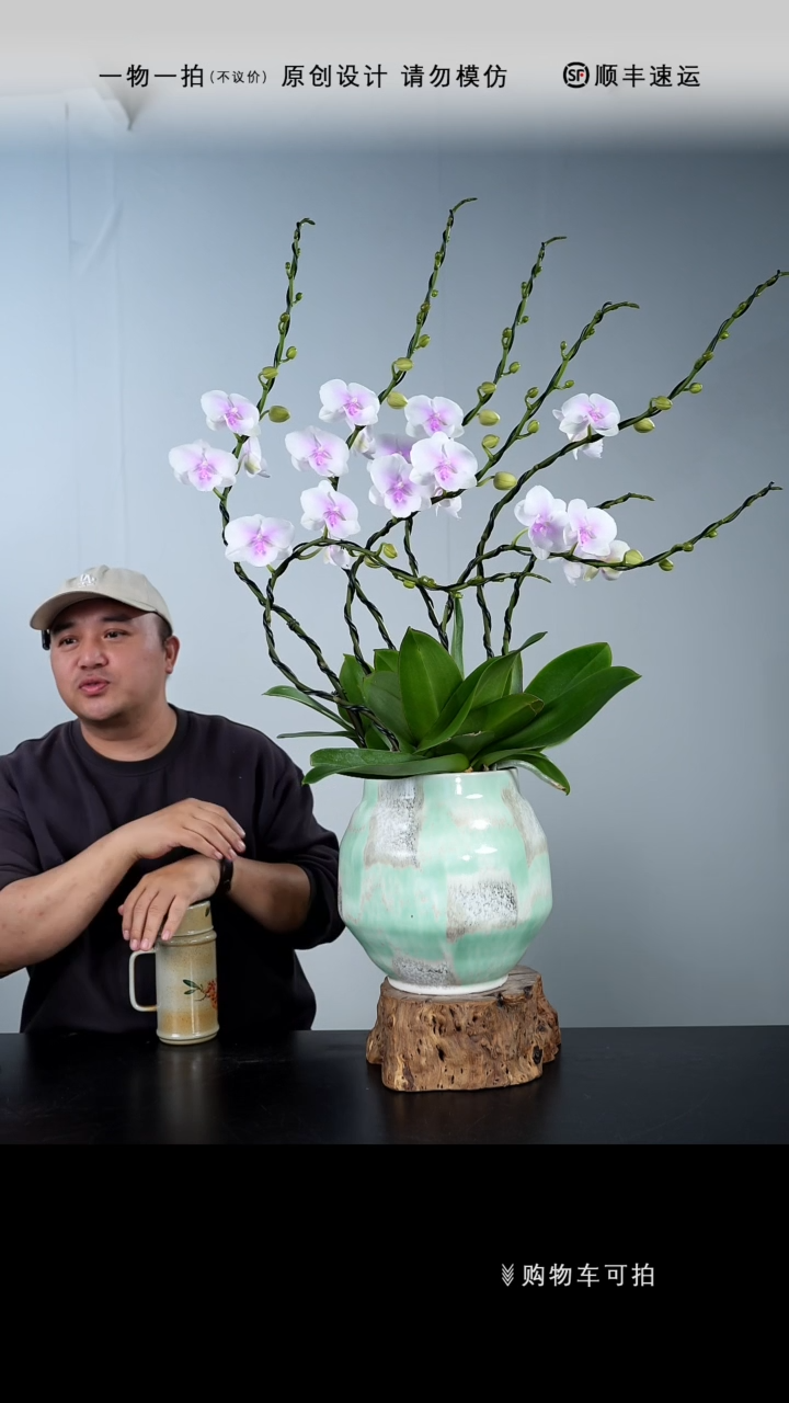【闪购商品】043号链接【一物一拍】艺术盆景
