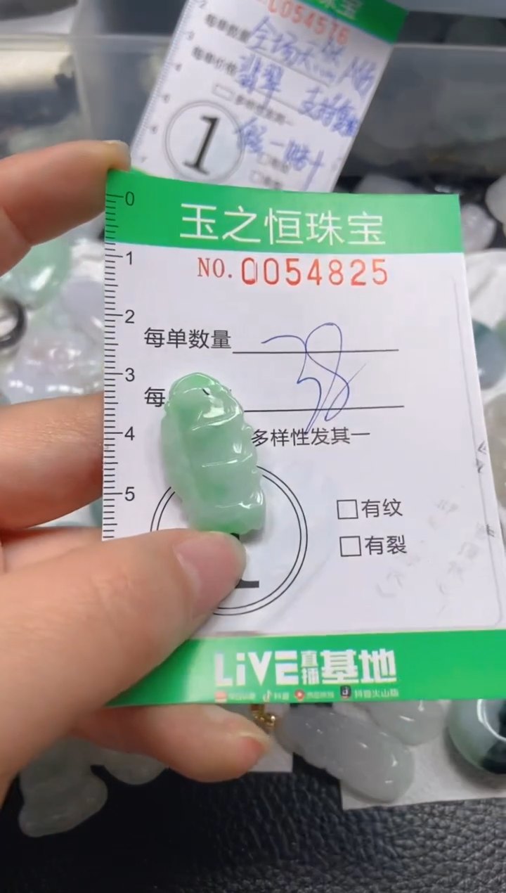 【闪购商品】翡翠未镶嵌颈饰闪购0054825