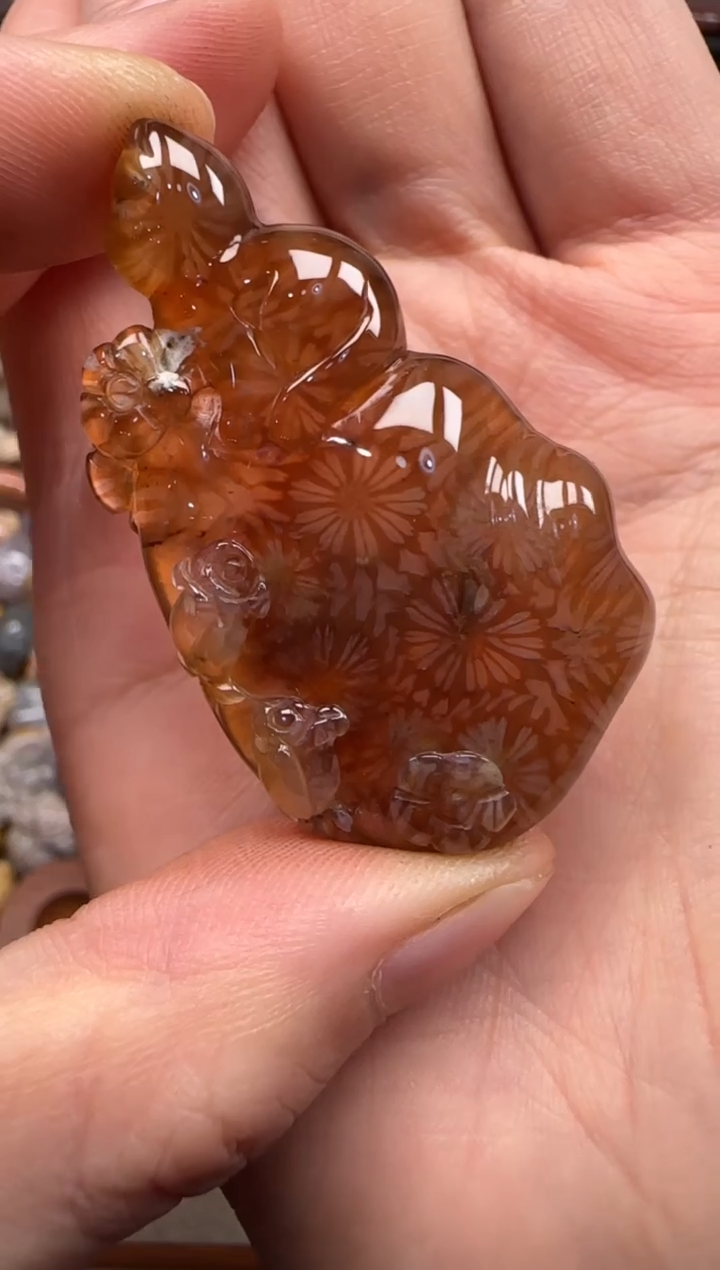 【闪购商品】硅化珊瑚（珊瑚玉）颈饰未镶嵌036