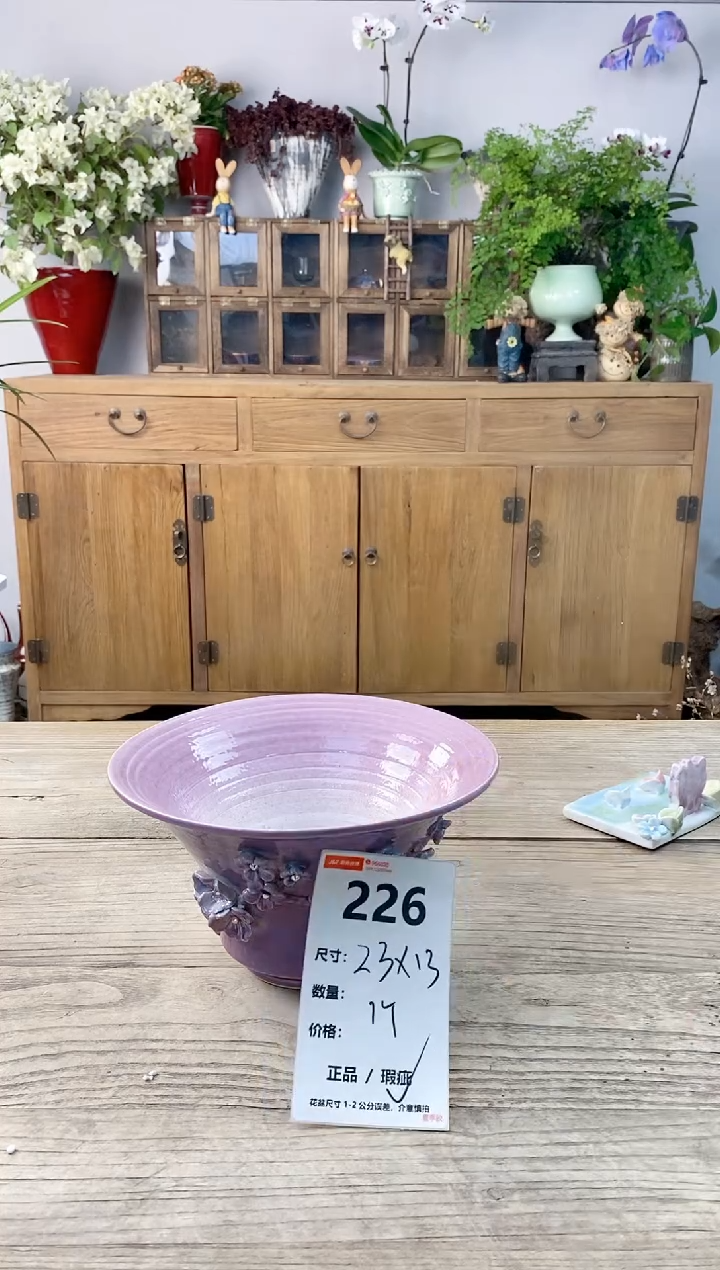 小玩子花盆直播编号226